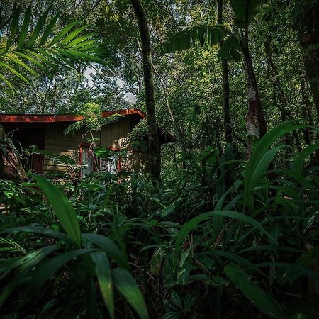 Jaguarundi Jungle Lodge - الجبل الأخضر المظهر الخارجي الصورة