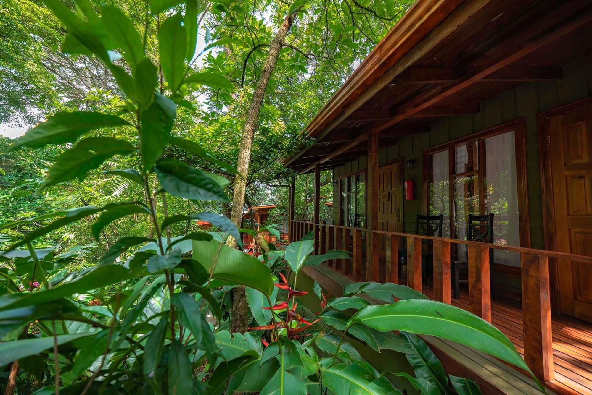 Jaguarundi Jungle Lodge - الجبل الأخضر المظهر الخارجي الصورة