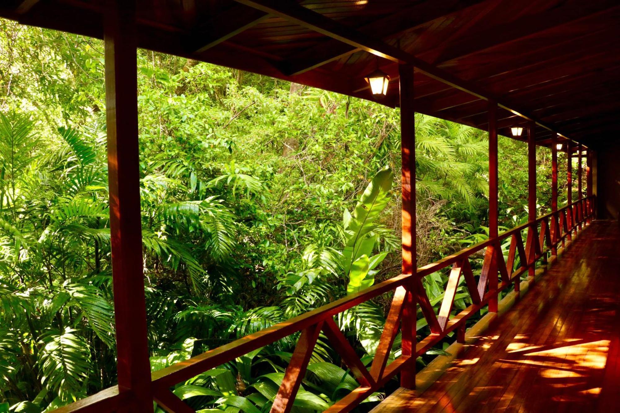 Jaguarundi Jungle Lodge - الجبل الأخضر المظهر الخارجي الصورة