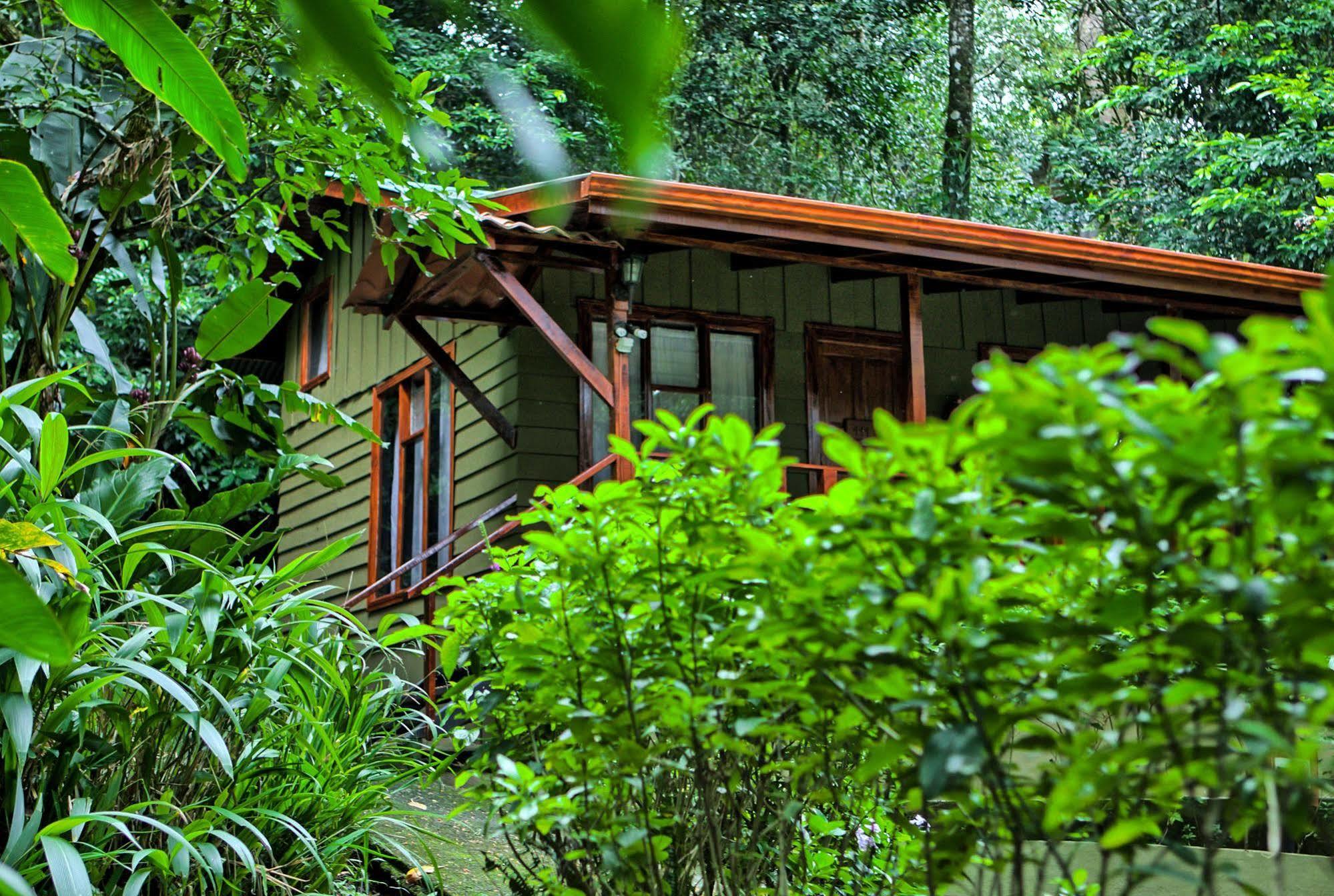 Jaguarundi Jungle Lodge - الجبل الأخضر المظهر الخارجي الصورة