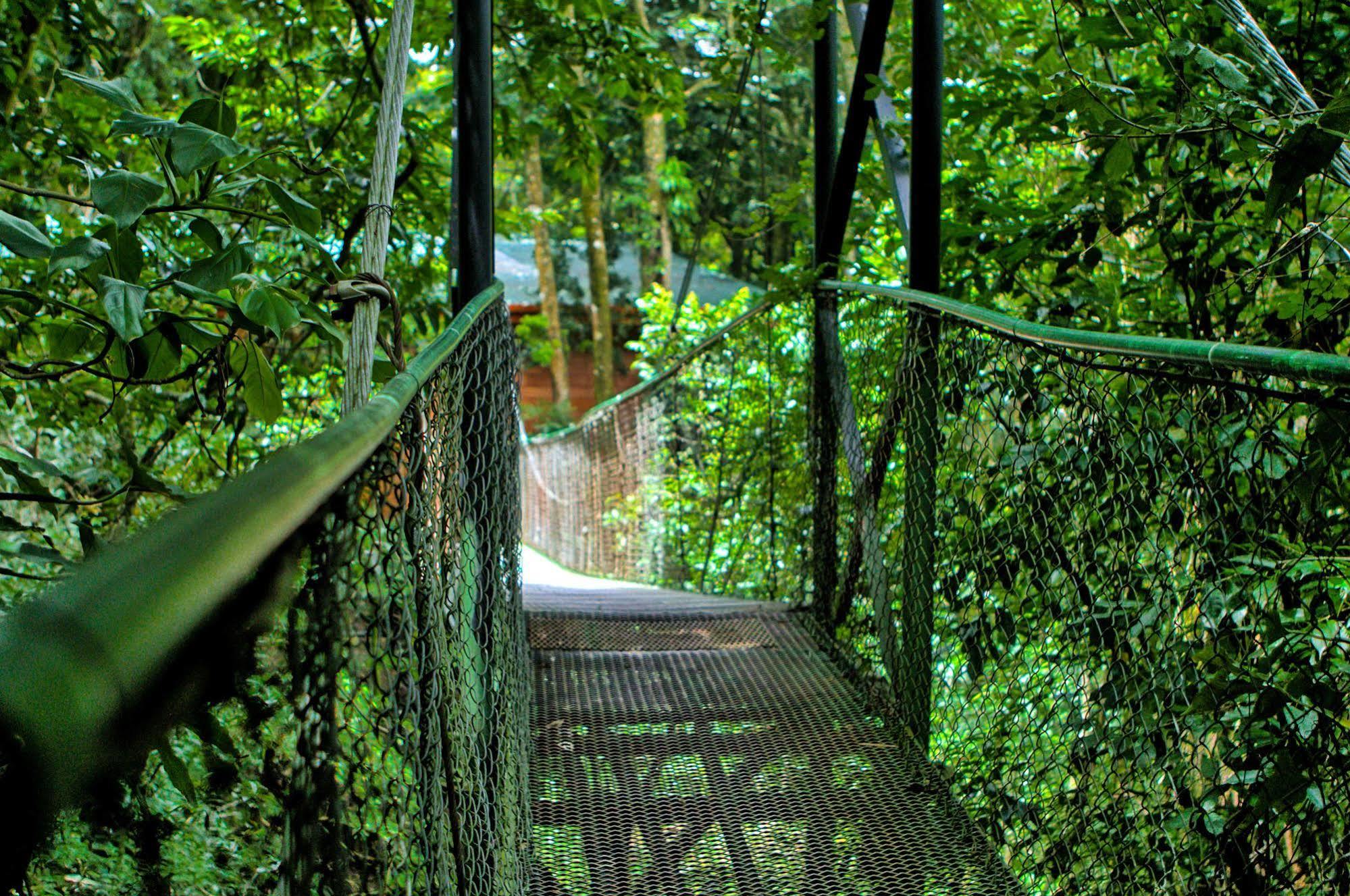 Jaguarundi Jungle Lodge - الجبل الأخضر المظهر الخارجي الصورة