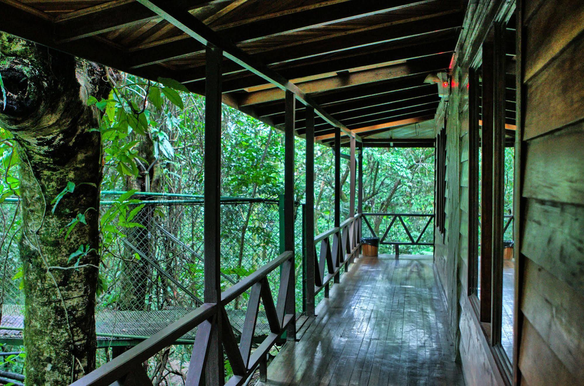 Jaguarundi Jungle Lodge - الجبل الأخضر المظهر الخارجي الصورة