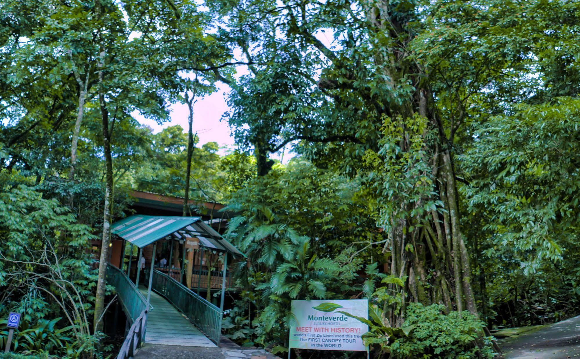 Jaguarundi Jungle Lodge - الجبل الأخضر المظهر الخارجي الصورة