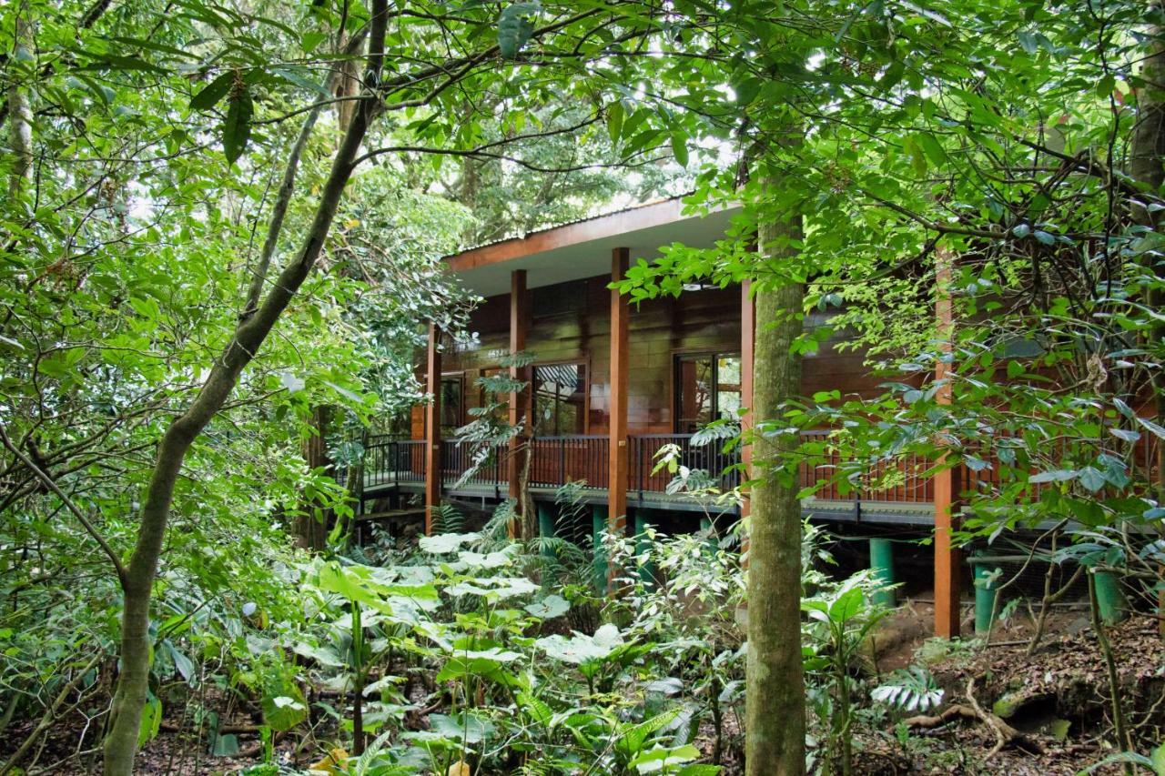 Jaguarundi Jungle Lodge - الجبل الأخضر المظهر الخارجي الصورة